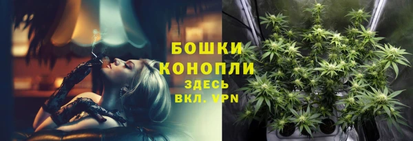 ALPHA PVP Белокуриха
