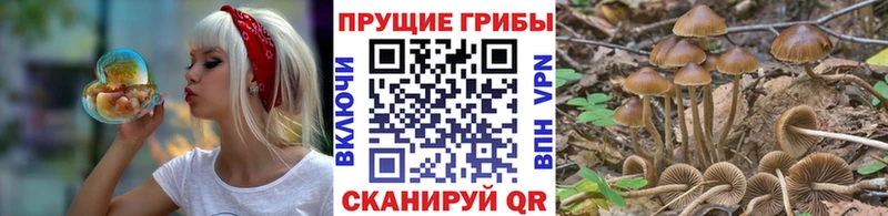 Галлюциногенные грибы Magic Shrooms  Купить закладки  Вилючинск 